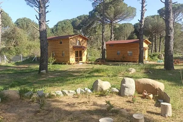 Badece Çiftliği - Çiftlik - İzmir Bergama