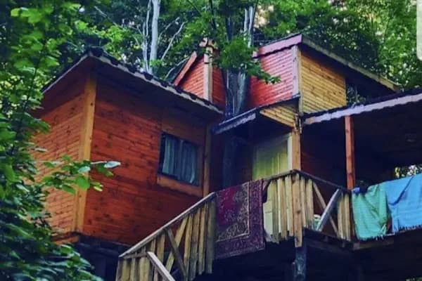 Erikli Şelale Kamp Alani - Kamp Alanı - Yalova Armutlu
