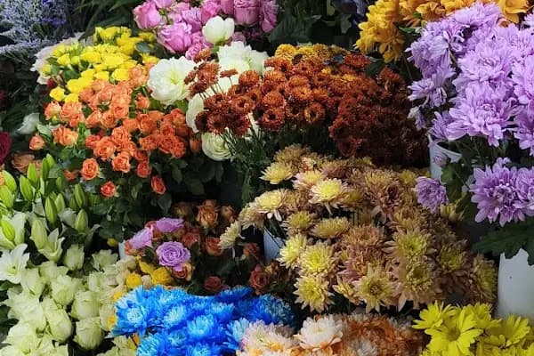 Eroğlu Çiçek Dünyası ve ÇELENK - Çiçek Pazarı - Antalya Döşemealtı