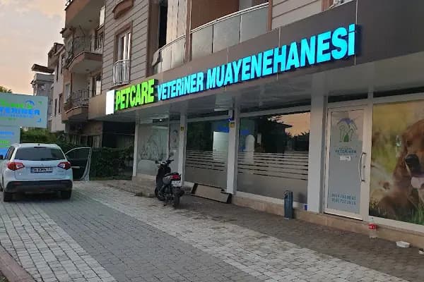 Özgür Petcare Veteriner Muayenehanesi - Veteriner - Bursa İnegöl