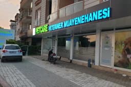 Özgür Petcare Veteriner Muayenehanesi