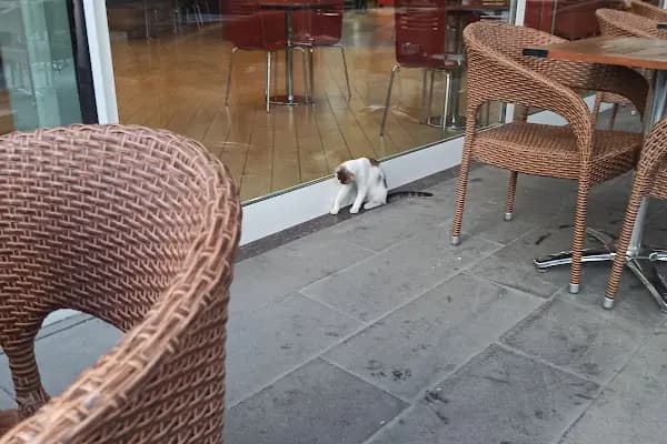 Burger King - Hamburger restoranı - İstanbul Zeytinburnu