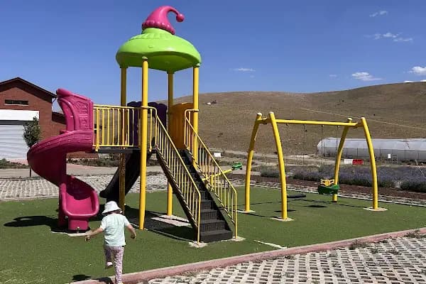 Afşin Lavanta Bahçesi - Bahçe - Kahramanmaraş Türkoğlu