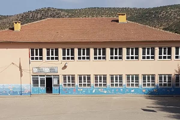 Bağlıca İlköğretim Okulu - Okul - Mardin Artuklu