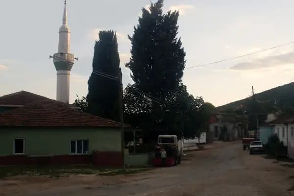 Akçapınar Köyü Muhtarlığı - Yerel Resmi Daire - Balıkesir Manyas