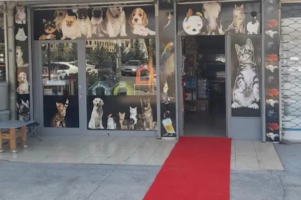 Nil Pet Shop - Evcil hayvan mağazası - Ankara Mamak