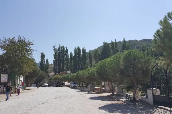Kunduracı Çınarı Tabiat Anıtı - Milli Park - İzmir Buca