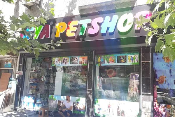 Asya Petshop - Evcil hayvan mağazası - İstanbul Güngören