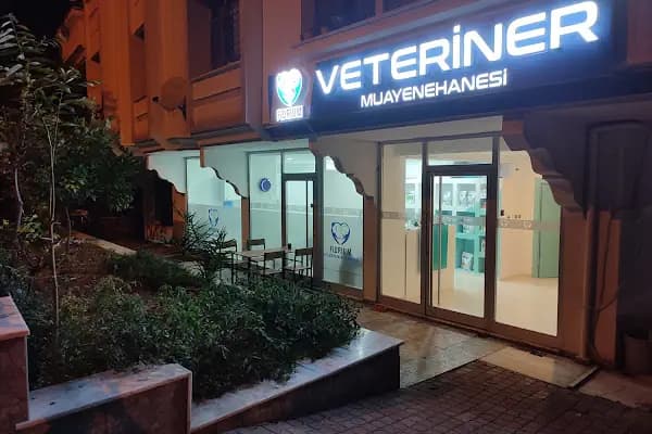 Florium Veteriner Muayenehanesi - Veteriner - İstanbul Bakırköy