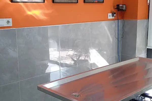 Vetamin Veteriner Kliniği - Veteriner - İstanbul Küçükçekmece