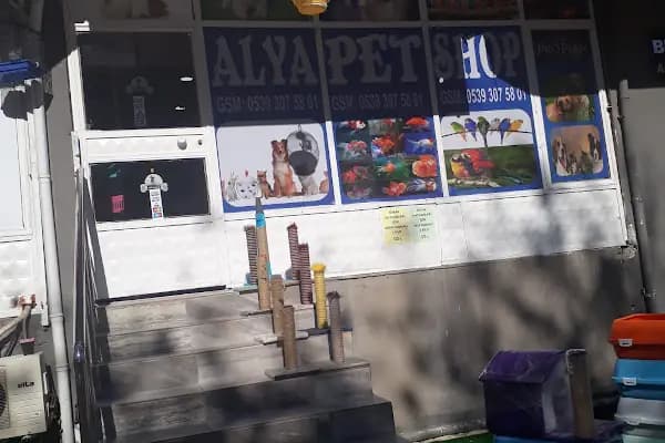Alya Petshop - Evcil hayvan mağazası - Adana Seyhan