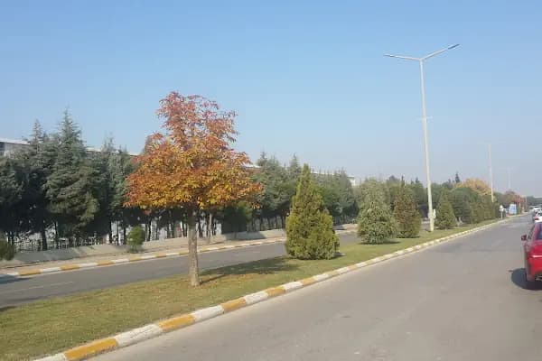 Manisa Organize Sanayi Bölge Müdürlüğü - Yerel İdare Ofisi - Manisa Salihli