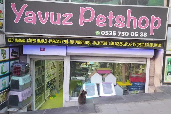 Yavuz Pet Shop - Evcil Hayvan Malzemeleri Mağazası - İstanbul Güngören
