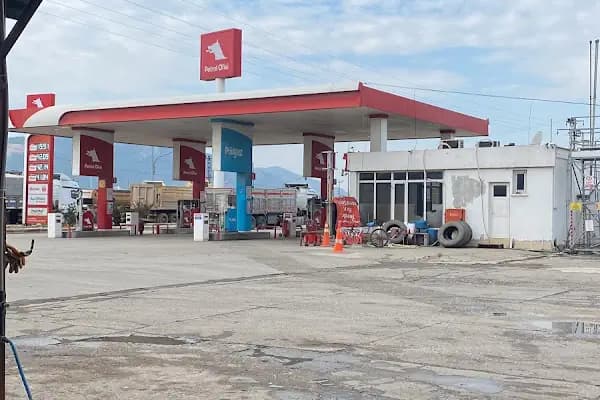 KURGU OTO LASTİK OTO ELEKTRİK - Oto Lastik Dükkanı - Adana Ceyhan