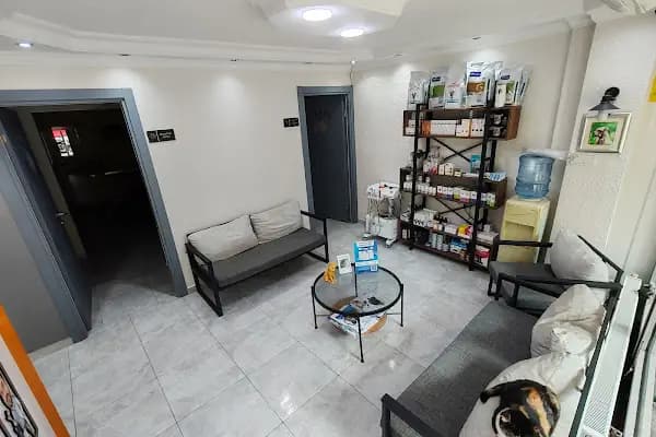 Vetto Veteriner Kliniği - Veteriner - İzmir Bergama