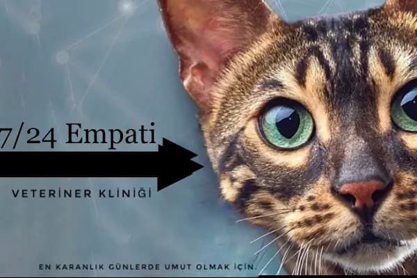 Çerkezköy Empati Veteriner Kliniği - Veteriner - Tekirdağ Çerkezköy