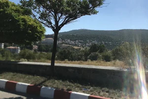Alpet Yayalar Mh. - Benzin İstasyonu - Ankara Çamlıdere