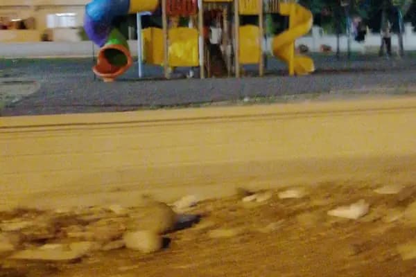 HANLIKÖY PARK - Park - Sakarya Serdivan