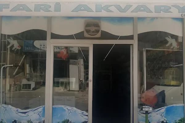 Poupee Paws Pet Kuaför &amp; Butik - Evcil Hayvan Kuaförü - Konya Karatay