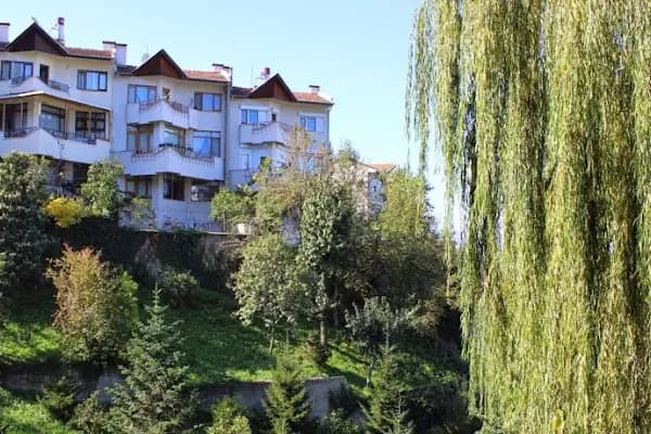 Gurgen Villa 2 - Villa - Trabzon Ortahisar