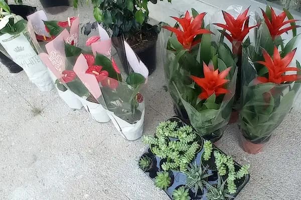 Çiçekçi Sezai - Çiçekçi - Mersin Yenişehir