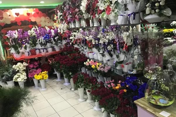 Karizma Çiçekçilik - İkitellide çiçekçi-halkalıda çiçekçi - Başakşehir çiçekçi- atakentte çiçekçi - Çiçekçi - İstanbul Küçükçekmece