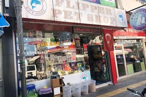 Flipper Pet Shop - Evcil hayvan mağazası - Kocaeli Gölcük