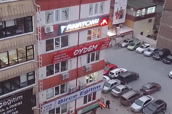 M.E.B ANATOMİ SANAT GÜZEL SANATLARA HAZIRLIK RESİM KURSU - Sanat Okulu - İstanbul Beyoğlu
