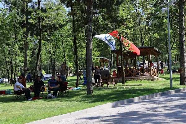 Cumalıkızık Orman Parkı - Piknik Alanı - Bursa Büyükorhan