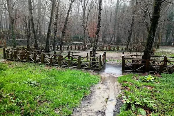 Neşetsuyu Tabiat Parkı - Milli Park - İstanbul Eyüpsultan