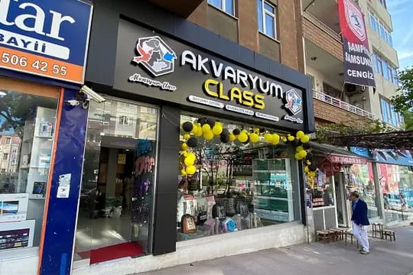 Akvaryum Class - Evcil hayvan mağazası - Samsun 19 Mayıs