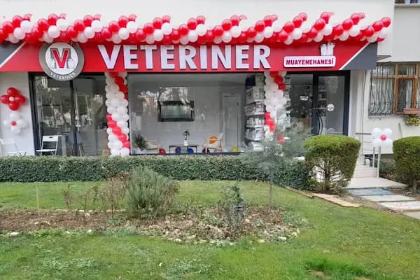 19 Mayıs Veteriner Kliniği - Veteriner - İstanbul Kâğıthane