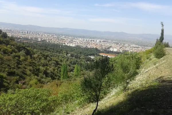 Şanzelize - Gece kulübü - Manisa Yunusemre