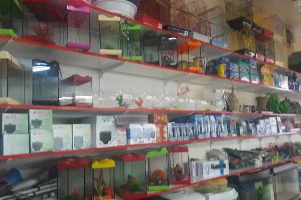 Bitirim Pet Shop - Evcil hayvan mağazası - Mersin Anamur