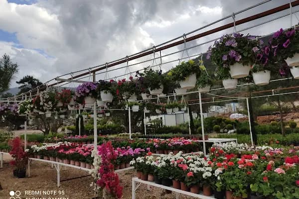 Premium life garden peyzaj ve çiçekçilik - Bahçe ürünleri satış merkezi - Muğla Dalaman