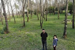 Sarıgazel Tabiat Parkı