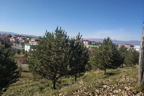 Kuğulu Park - Park - Erzurum Yakutiye
