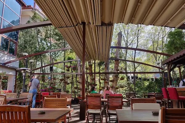 Fige Restaurant - Restoran - Ankara Kahramankazan