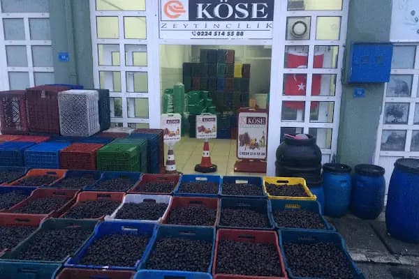Köse Zeytincilik - Kurumsal Ofis - Bursa Gemlik