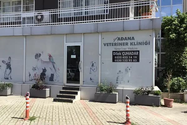 Veteriner