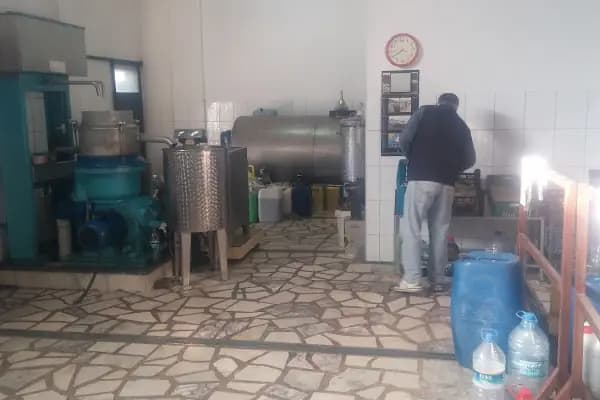 İslamhaneleri Zeytin Sıkma Fabrikası - Zeytinyağı Kooperatifi - Muğla Bodrum