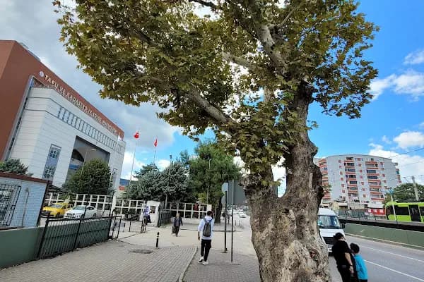 TAPU VE KADASTRO ÇALIŞANLARI DERNEĞİ - Sivil Toplum Kuruluşu - Bursa Yıldırım