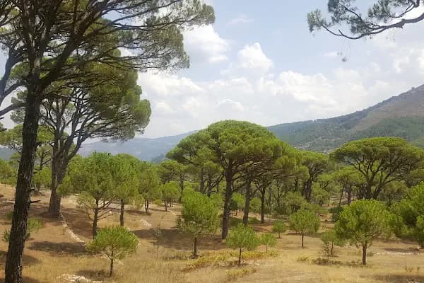 Bozdoğan Doğa Koruma Alanı - Doğa Koruma Alanı - Aydın Efeler