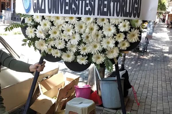 Gülnur Çiçekçilik - Çiçekçi - Antalya Elmalı