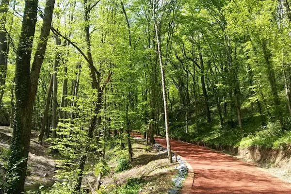 Irmak Milli Parkı - Ulusal park - İstanbul Sarıyer