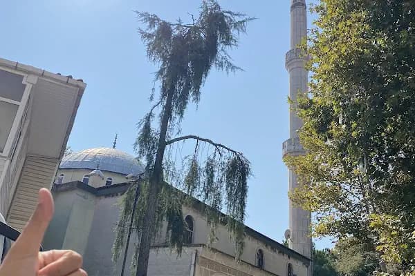 Cevizli Çınar Camii - Cami - İstanbul Fatih