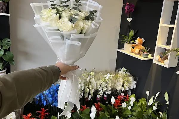 Rose çiçekçilik - Çiçekçi - İstanbul Küçükçekmece