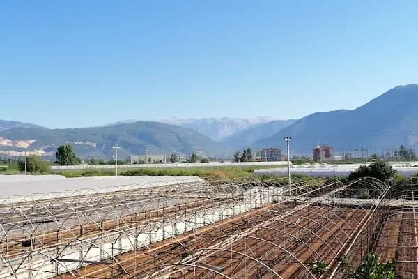 Teiaş Finike Trafo Mer. - Elektrik Santrali - Antalya Döşemealtı