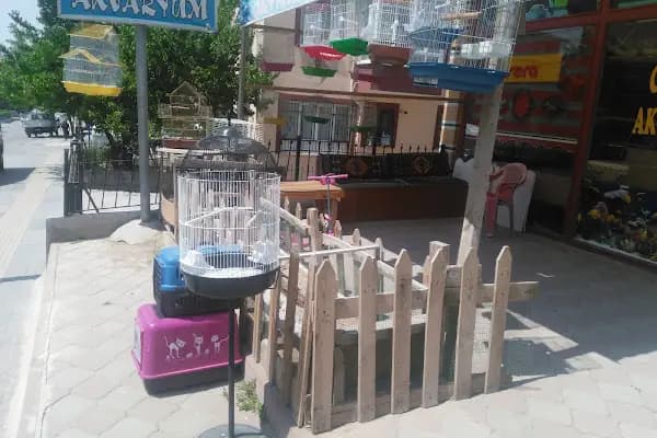 Ceyhun Petshop - Evcil hayvan mağazası - Ankara Gölbaşı