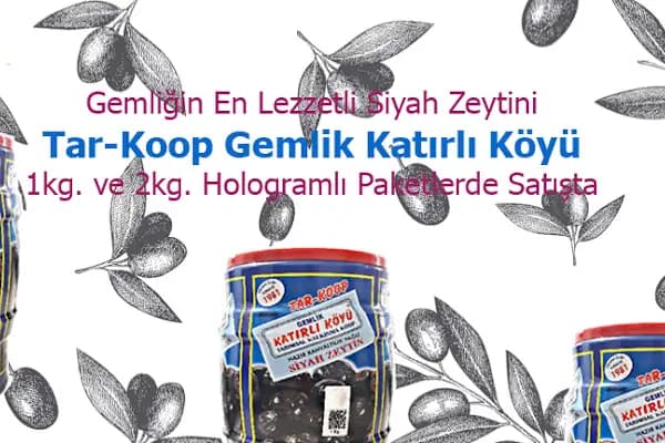 Mert Tur Öğrenci&amp;Personel Servis Taşımacılığı - Kurumsal Ofis - Bursa Gemlik